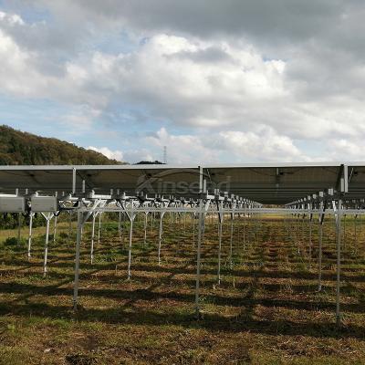 sistemi di montaggio per fattorie solari agricole